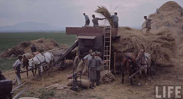 Agricultura romaneasca in anul 1964