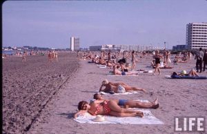 plaja de la mamaia hotel parc