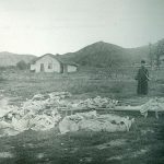 Epidemia de holeră în armata română în Bulgaria 1913. Sursa foto: Arhivele Naționale ale României, Colecția Documente Fotografice, A 10